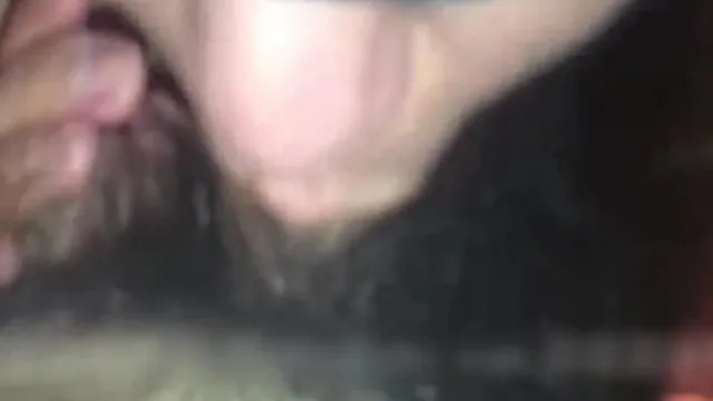 湿穴探险队