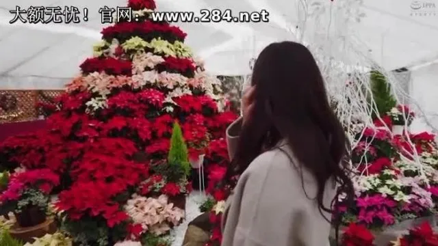 MYBA-022 人妻の花びらめくり 並木塔子