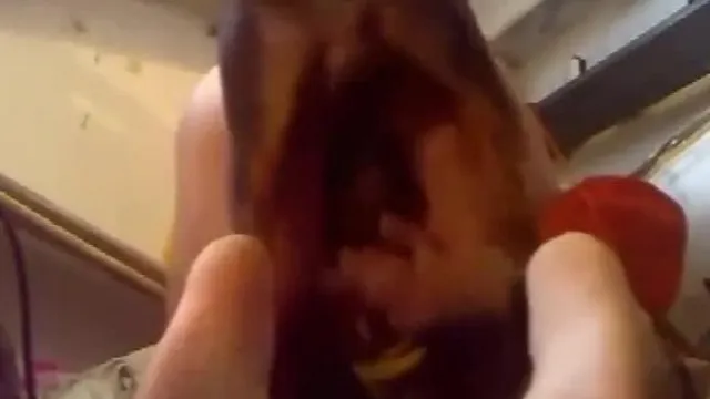 疯狂的年轻小伙子在她的卧室里弯腰弯腰，被狗弄砸了