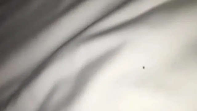 第一视角爆插黑丝淫荡熟女无套内射特写流精不止