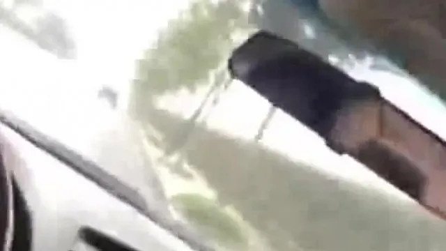 路边野外车震玩刺激