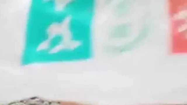 妹子野外自慰插完菊花插逼逼