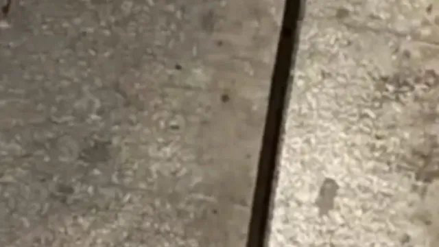 骚气逼人的少妇主播糖糖大冷天户外勾搭个没啥性经验的菜鸟开房鸳鸯浴后啪啪