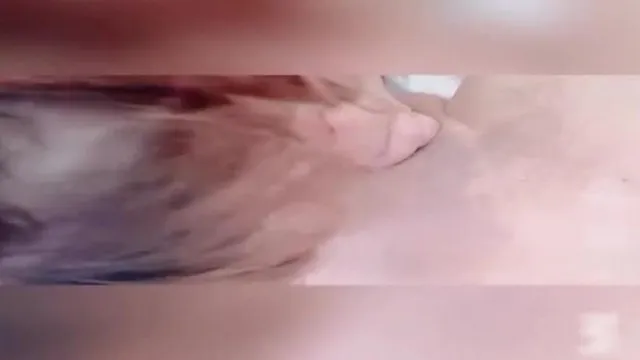 长靴猫女孩喵喵喵