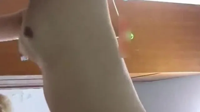 云盘泄密流出-水嫩漂亮的性感美女出租屋被猥琐中年男各种