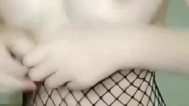 在校大三小師妹穿著性感情趣網襪宿舍約炮學長啪啪