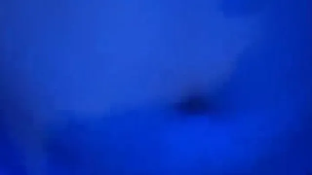 欢迎光临潘朵拉星球~立刻体验纳美人的性爱生活~!!