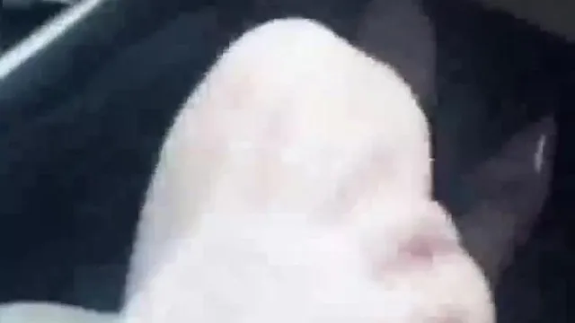 白嫩网红故意路边拦便车 用身体付司机车资自己又能爽