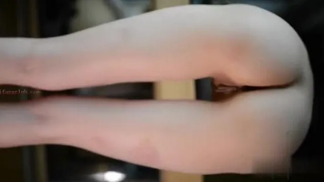 清纯模特范范不遮掩打码清晰七部(3)