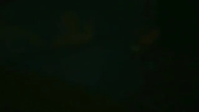 Богатый мужчина во втором поколении встречается с братом_Девушка из клуба, которая занимается великолепным оральным сексом в его особняке