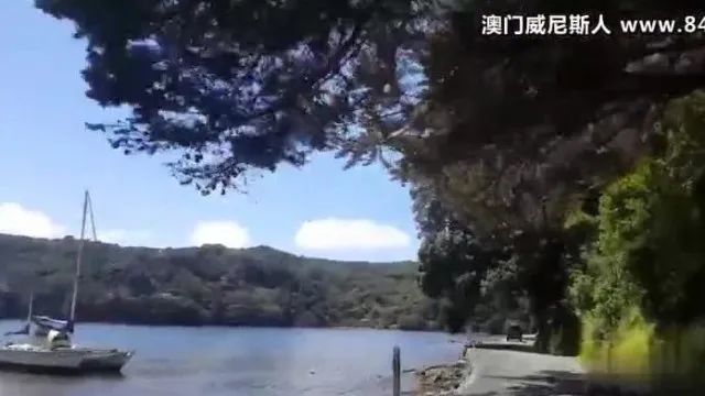 【ヨーロッパ・アメリカ】ボバと旅 ～カメラマンスタッフと一緒に旅へ!!