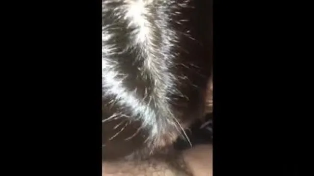 花椒下海主播小香猪福利小视频合辑~自拍揉奶口交做爱你喜欢哪一个!!