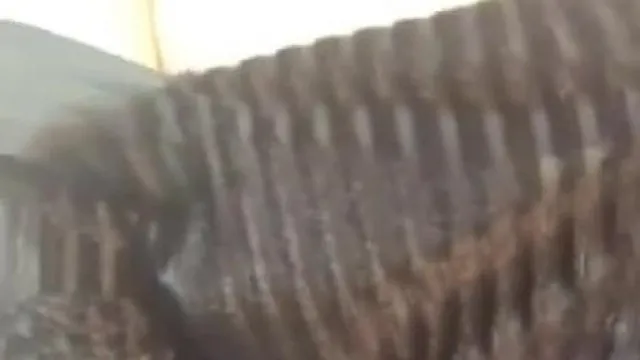 骚母狗被包养~爸爸你说什么我都做!!