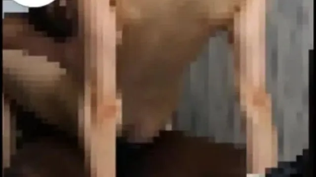 ¡Vendo vida hogareña con marido negro! La primera vez que lo puse, lo sentí tan duro y grande... Se sintió tan bien.