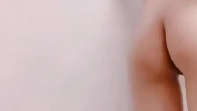 El bebé gomoso lleva un disfraz navideño fuera de temporada ~ revelando un avatar de tigre blanco frente a la cámara ~