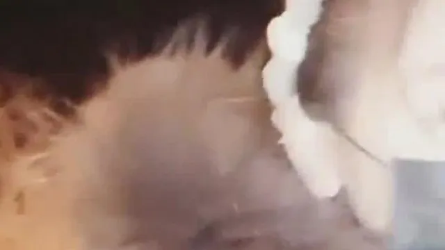 在房间会被老公发现~情慾主播开着老公的车出去淫蕩偷情~