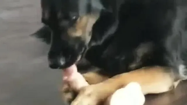 傻傻毛小孩~不要偷咬妈妈的男朋友QㄇQ