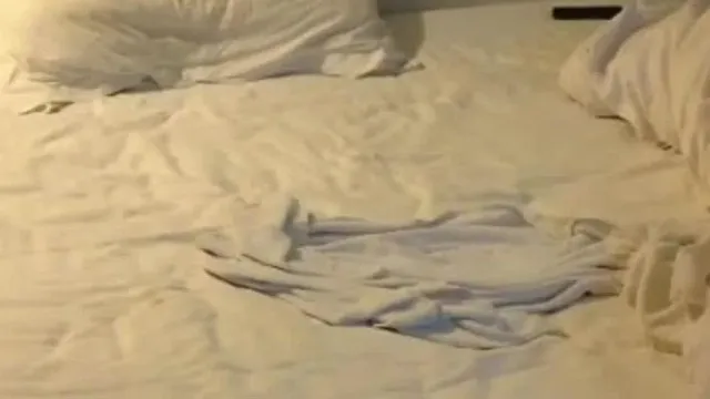 Le pedí a una colega de la unidad de trabajo que tuviera sexo en un hotel. La putita tiene cara de bebé y fuma. Se resiste mucho a follar. Cambié varias posiciones y me follé duro para satisfacerla. Perfectamente versión Full HD.