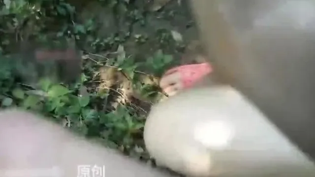 冷S猫奴自慰喷尿