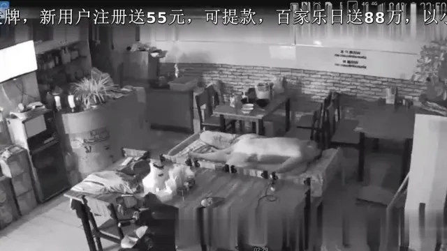 偷拍老板和老板娘餐台开搞