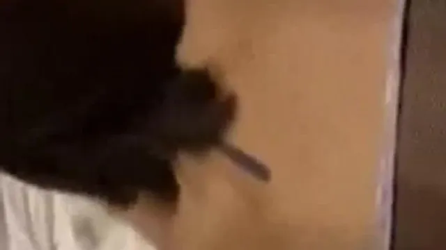 后入黑丝骚货