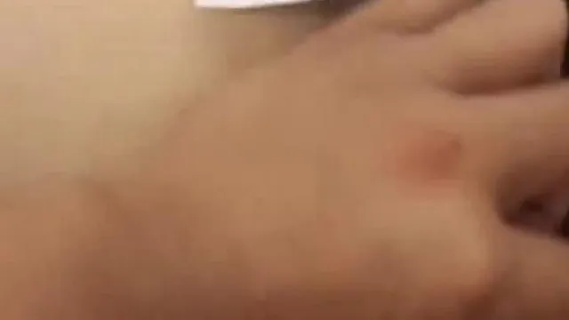Recém-chegado