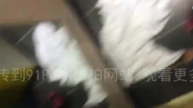 93年少妇丝袜高跟做爱