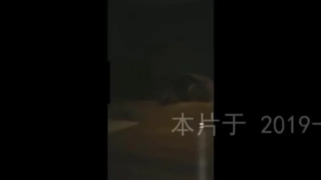 灰丝证券女高管2