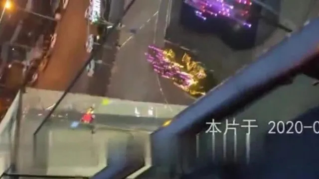 Perra alegría ciudad expuesta 2