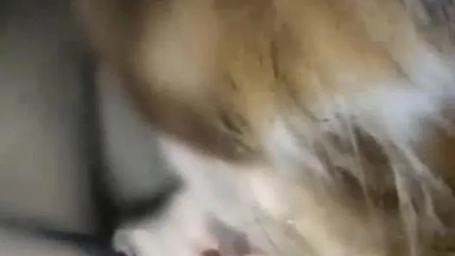 网红曼曼时尚演绎黑丝短裙美女地下停车场取车时被尾随的色狼趁机按在车里威胁啪啪