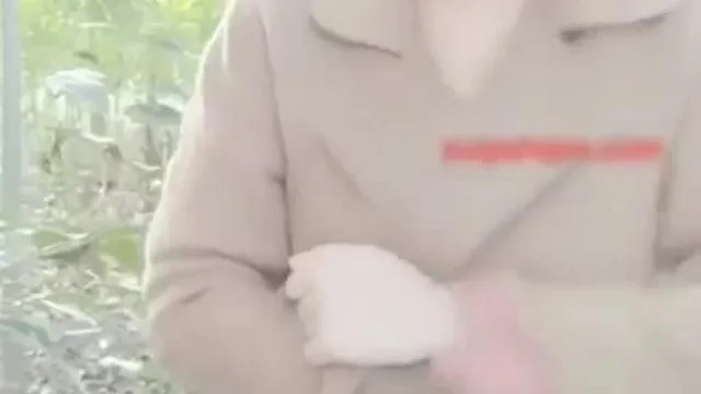 宅男女神气賍美女火火户外小树林与粉丝互动