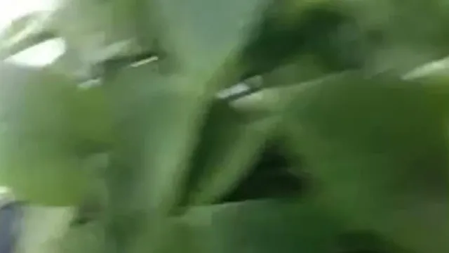 嫖妓哥网约颜值很不错的美女，干完一次还想操，美女受不了