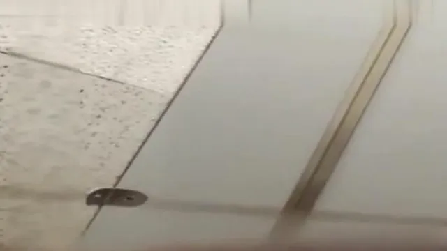 L'audacieuse présentatrice beauté s'est faufilée dans le centre de baignade pour diffuser en direct et a secrètement filmé des vidéos de beautés changeant de vêtements pour les partager avec des amis loups.