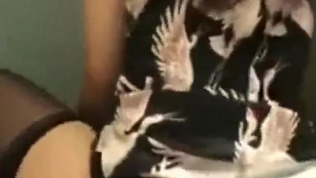 Una colección de zorras súper sexys y regordetas teniendo sexo y tomas privadas filtradas con todo tipo de impacto apasionado en sus hermosas nalgas.
