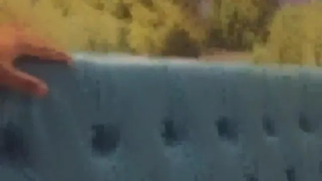 明星颜值的网红为了钱被300 400斤重相扑选手体型的胖哥干还说为了他推掉了不少预约