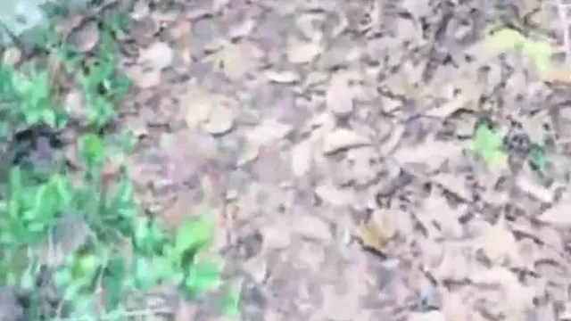 若い人はガールフレンドと廃墟で野砲を撃つだけでは十分ではありません。家に帰ってもう一度撃ってください。