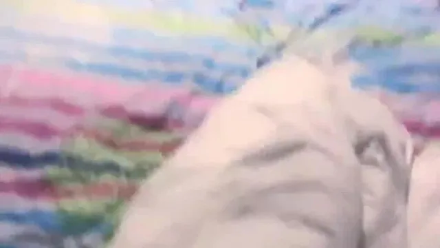 Cha Cha Little Lolita возвращает своим поклонникам страстный секс в прямом эфире, использование сока для орального секса - это так свежо~