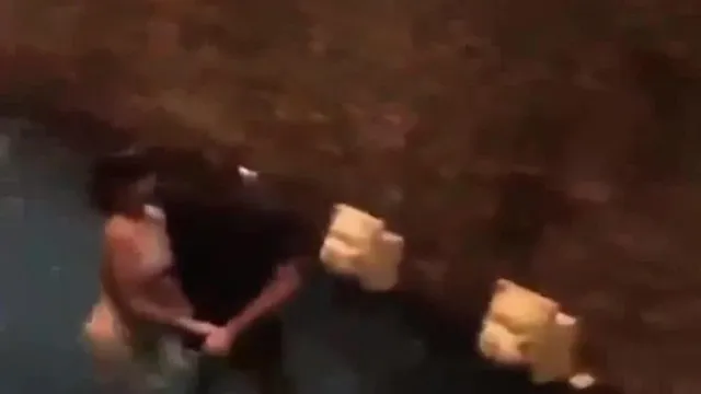 台湾性爱派对