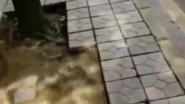 小县城閑逛找站街妹吃快餐下午晚上各一枚