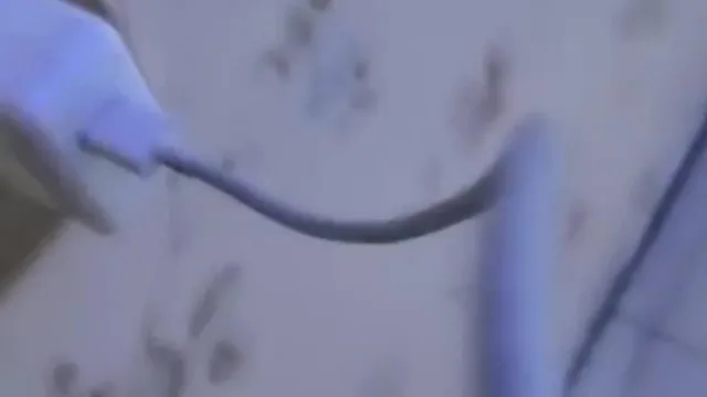 身材超棒的极品妹纸 口活超赞 操完炮后坐高铁回家
