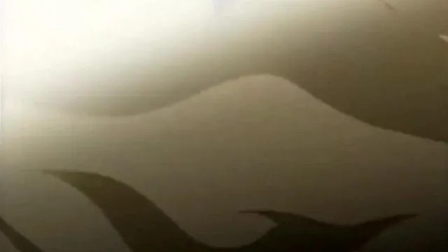 夜勤病栋 アニメ 风间爱！