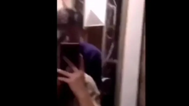 [Área de vídeo curta] Mantenha os gatos verdes