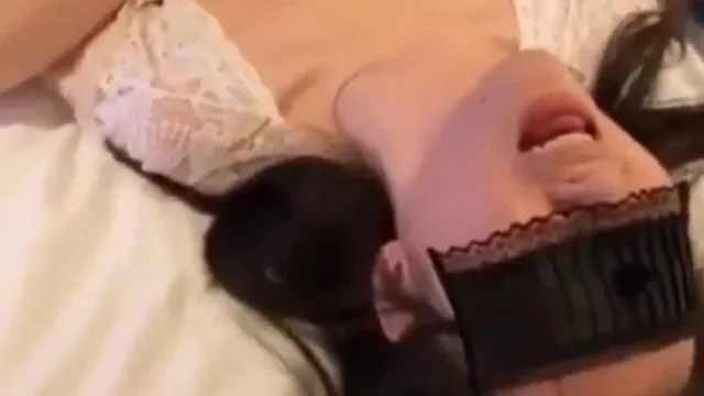 [短视频区] 新狗