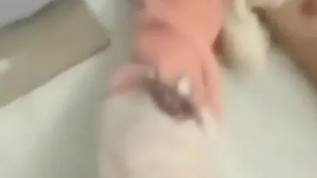 [短视频区] 小寄几别强撩