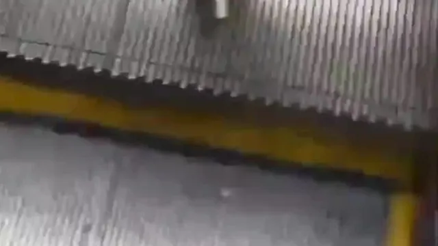 [Área de video corto] Tiroteo en la calle, próxima actualización jk
