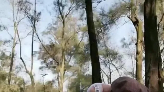 Ficar com um irmão mais novo e um irmão mais novo ao ar livre A putinha que está tendo um caso é mais pró-ativa do que seu parceiro sexual ao ar livre.