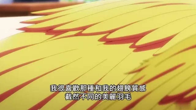 异种族风俗娘评鉴指南 01！