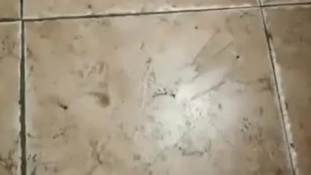 苗条小姐姐寻刺激，到公厕里拿按摩棒塞穴穴直播，嘴里还塞著内裤怕忍不住呻吟~