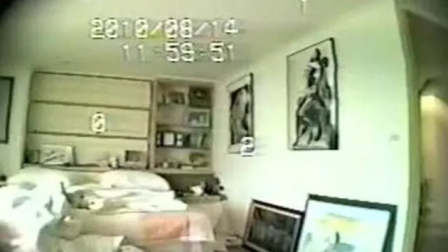 台灣美女主持璩美鳳光碟門事件