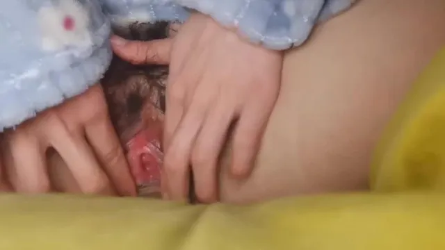 学生の猫